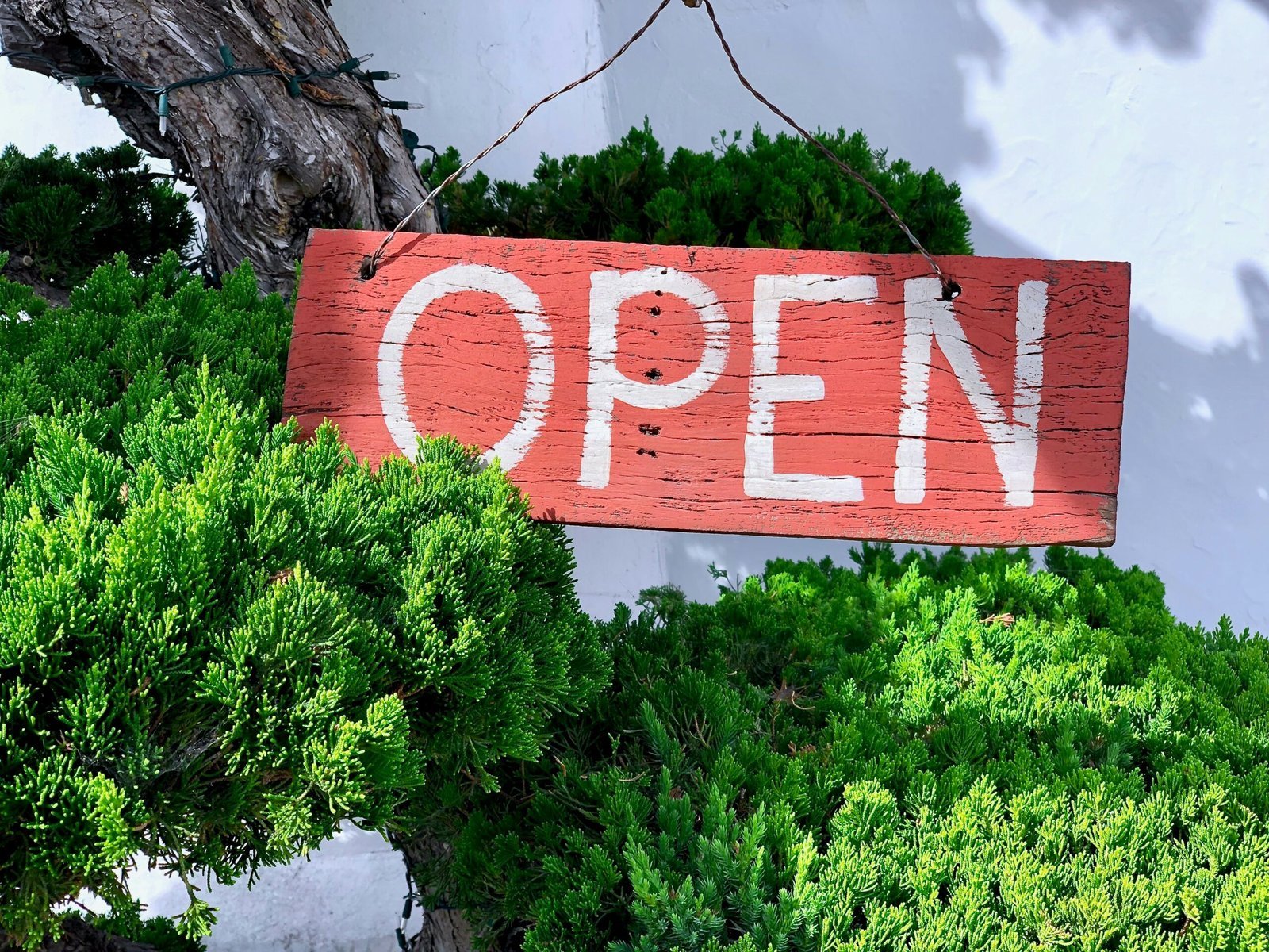 brown and white open signage on green grasses